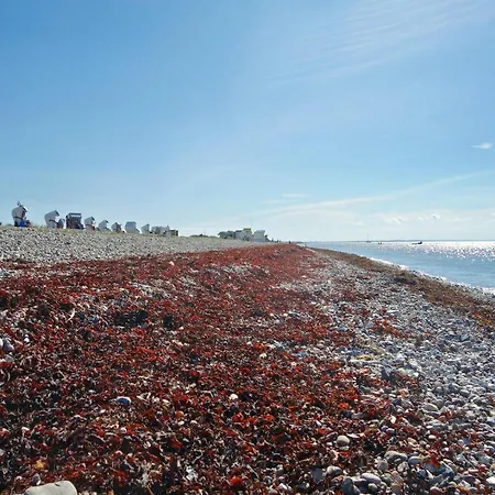 Dom wakacyjny Elegantes Mit Garten Auf Fehmarn Petersdorf auf Fehmarn
