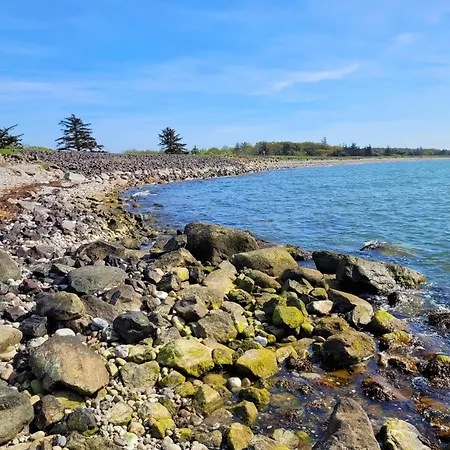 Dom wakacyjny Elegantes Mit Garten Auf Fehmarn *
